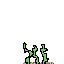 seaweed