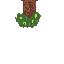 jungle tree
