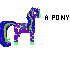 a pony