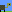 tortoise