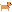 pug
