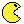 paccy bird