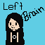 left brain