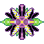 flavour of flower