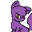 my nam is alexia the cat