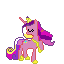 pony