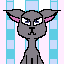 gray cat
