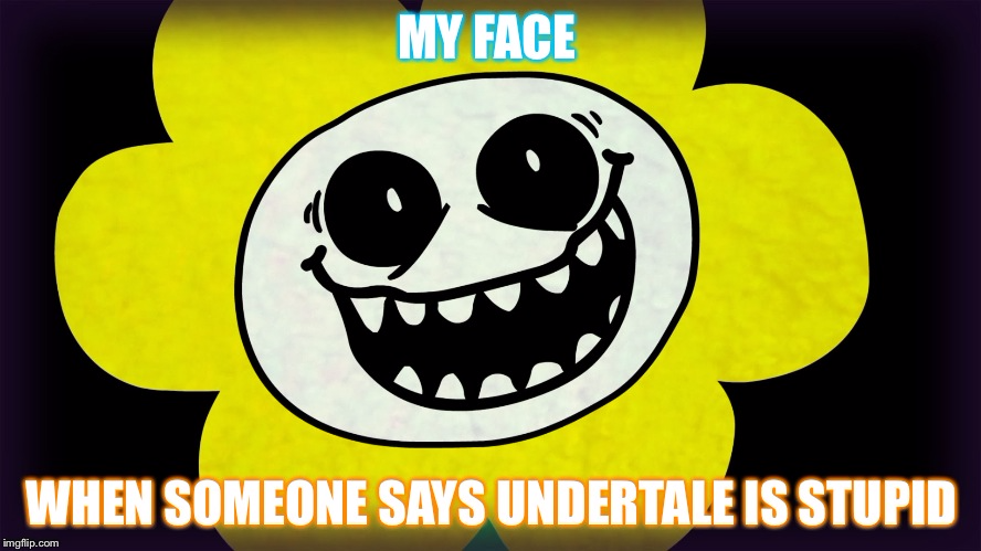 my face when someone says undertale is stupid