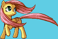 flutter shy