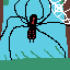 the spider