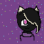 sprinkles the cat