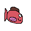 flapp birds