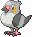 pidove