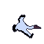 bird1