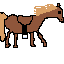 horse 2