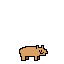 bear2