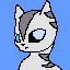 echomist of riverclan