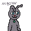 my cat
