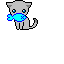 kitty