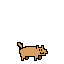 bear 2