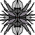 project core61