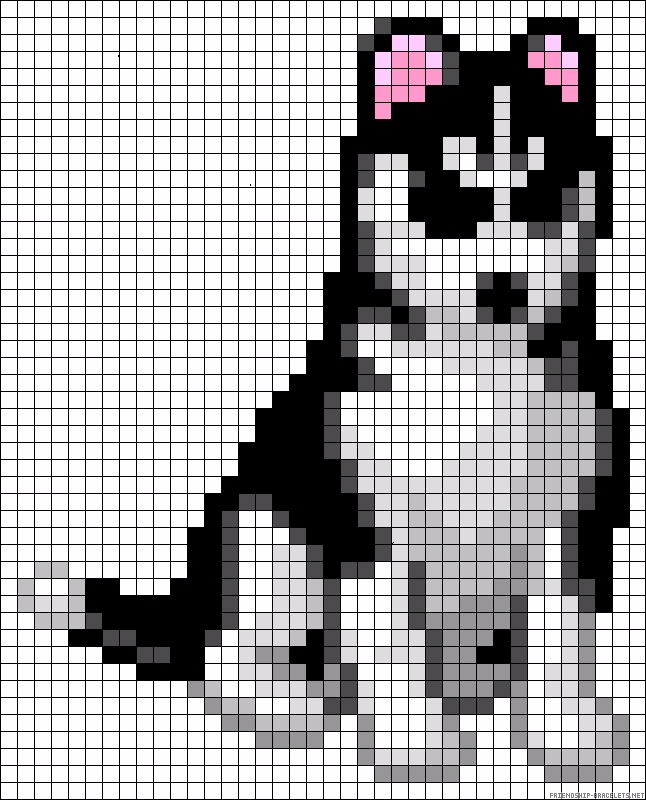 lobo