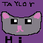 cat face