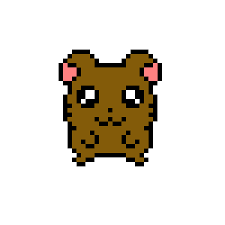brown cute hamster
