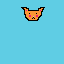 cute kitty