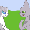 ivypool vs dovewing