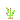 seaweed