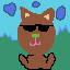 el gato cool