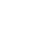spider web