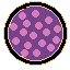 bloempie