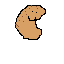 potato