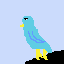 pirates parrot