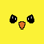 face pollito