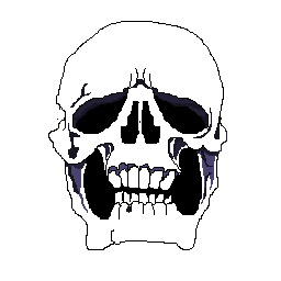 skull proceso