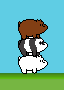 pardo panda polar
