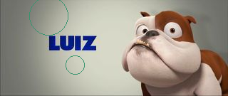 luiz pedro
