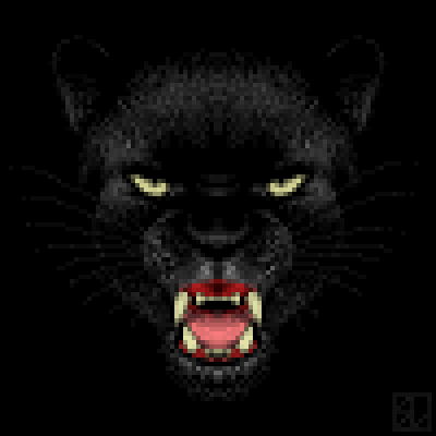un puma