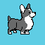 corgd
