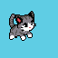 kit cat