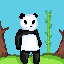 cute panda