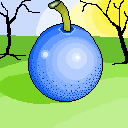 blue australian apple