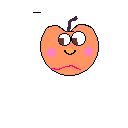 melocoton