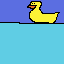 duck