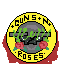 guns n roses