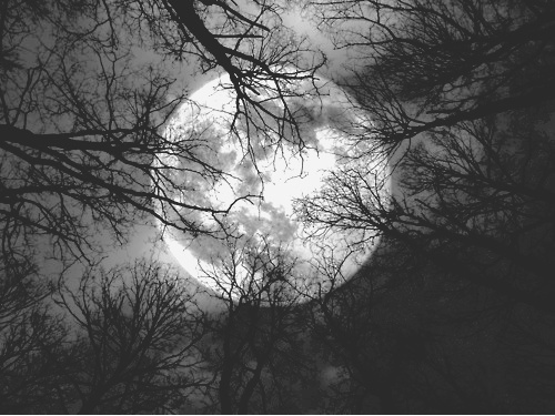 moon