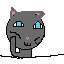 boared cat